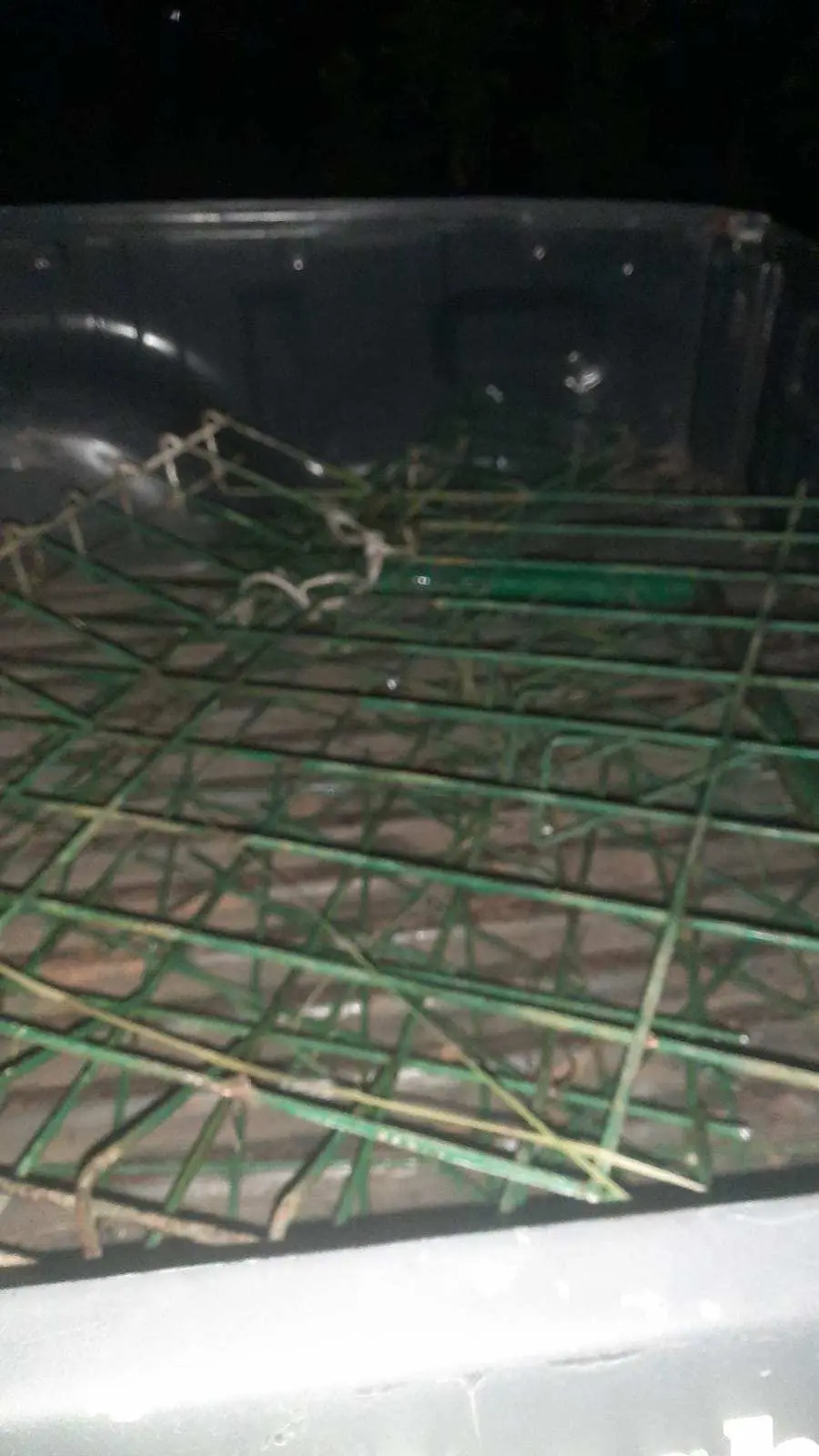 Polsek Parung Berhasil Mengamankan Pelaku Pencurian di Pemandian Air Panas Tirta Sayaga