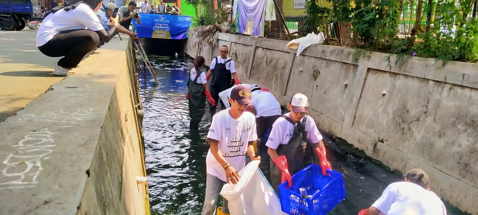 HUT BRI ke-128 Adakan Aksi Bersih Sungai Muara Condet dan Tanam Pohon