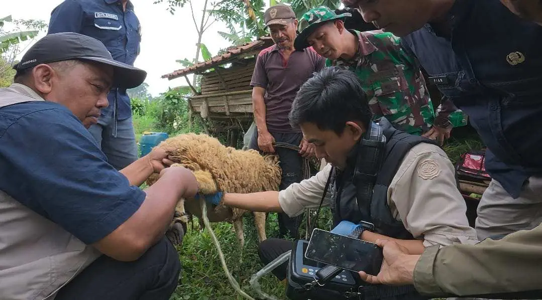 Satgas TMMD Ke-125 Hadirkan Penyuluhan Peternakan untuk Wujudkan Swasembada Pangan Desa